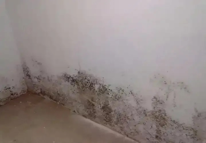 防水≠防滲！80%的人都弄錯(cuò)了！